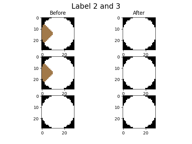 Label 2 and 3, Before, After